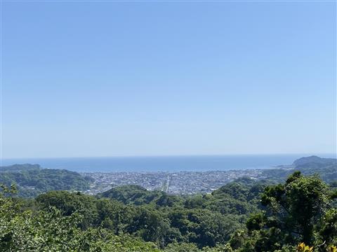 十王岩から若宮大路を望む